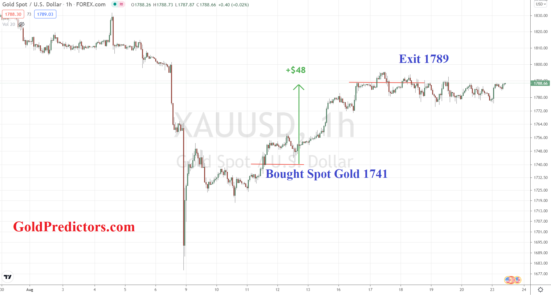 Gold Behavior