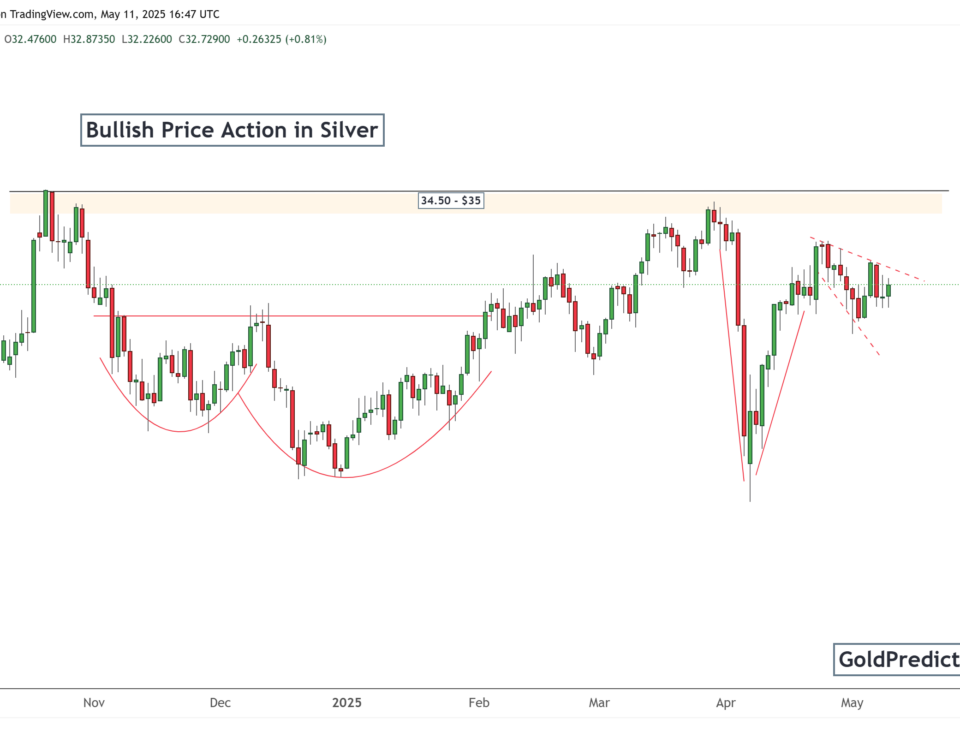 silver pattern